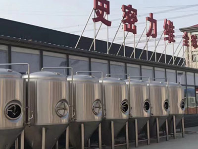 大观精酿啤酒设备厂—市场规模与跨界新需求